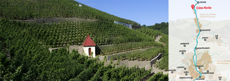 Les deux terroirs de la Côte Rôtie, Côte brune Côte et blonde