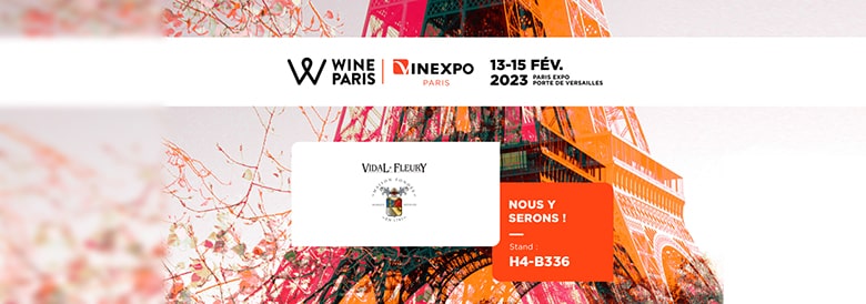 Quel vin rouge pour Noël