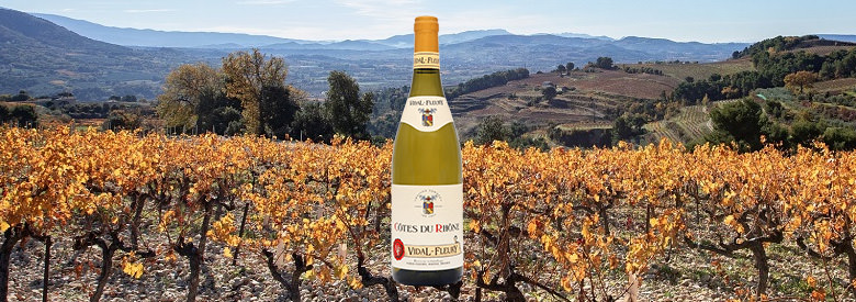 Quels sont les cépages de Côte-du-Rhône ?