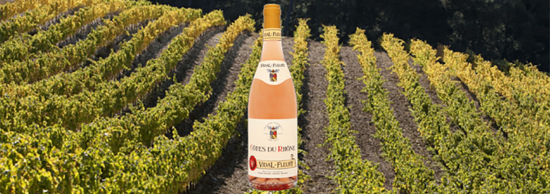 Quels sont les cépages de Côte-du-Rhône ?