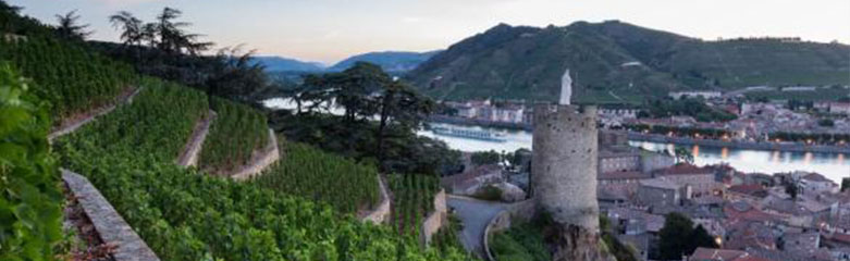 Ou se situe le vin SAint Joseph ?