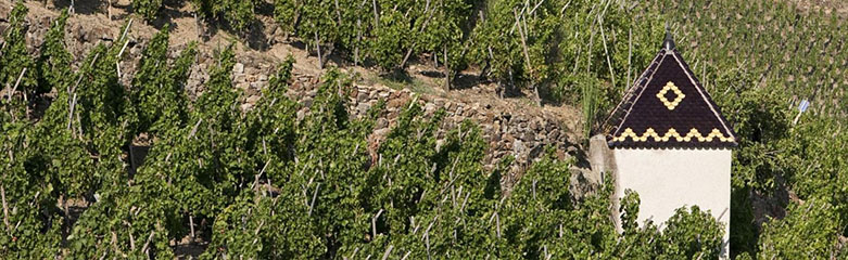Ou se situe la Côte Rotie ?