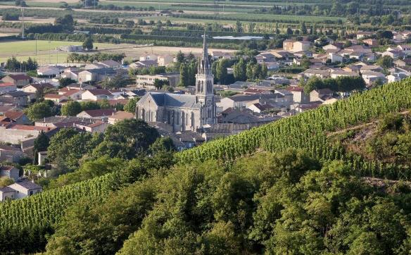 vignes et village cornas