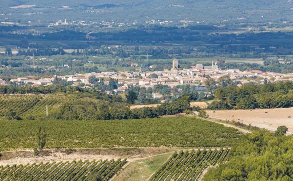 vignes côte du rhône village