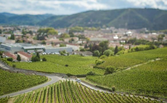 vignes et village hermitage