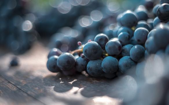 grappe de raisin