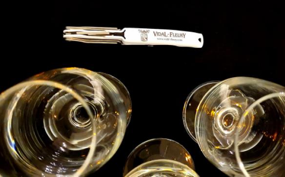 degustation cote-du-rhone vidal-fleury