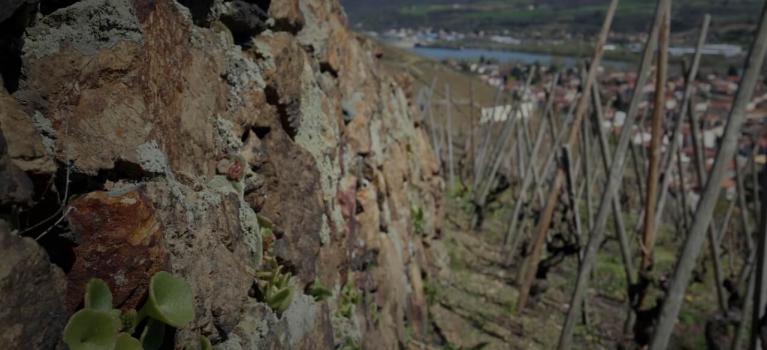 Slider accueil vignes mobile